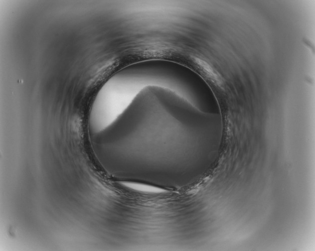 X0000094210258200710261216