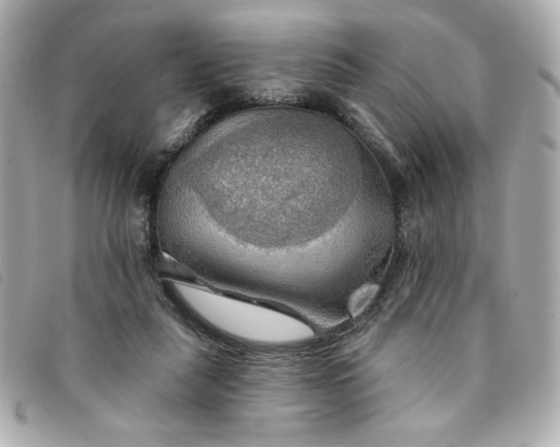 X0000094210259200710261216