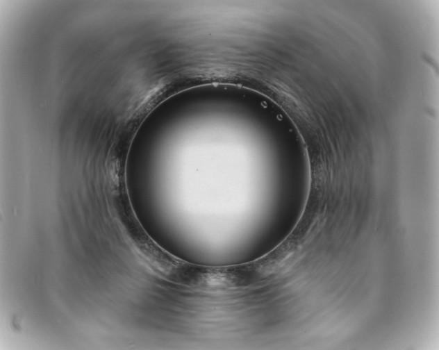 X0000094210264200710261216