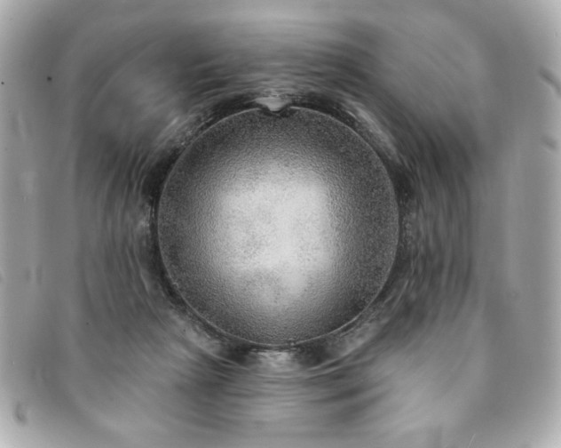 X0000094210265200710261216