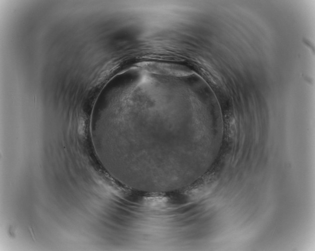X0000094210266200710261216