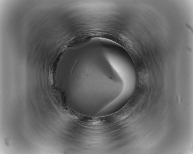 X0000094210267200710261216