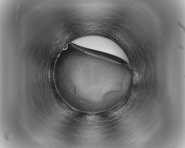 X0000094210268200710261216