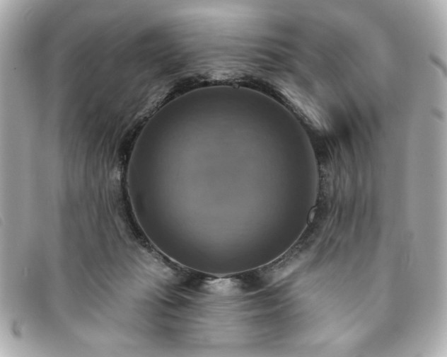 X0000094210269200710261216