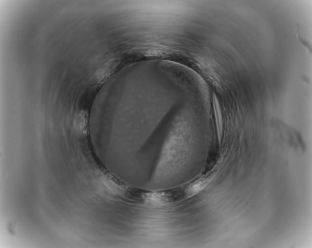 X0000094210273200710261216