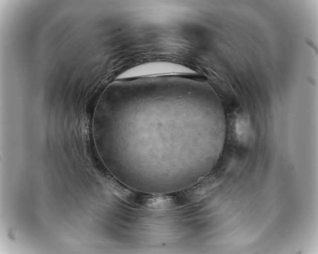 X0000094210274200710261216