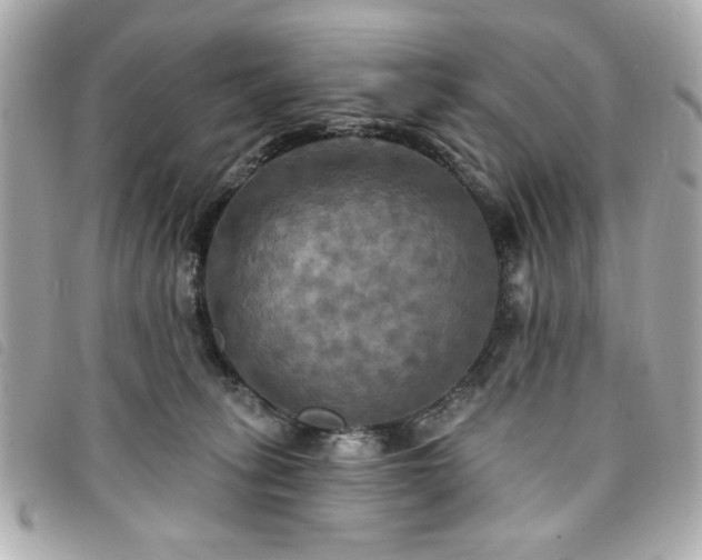 X0000094210275200710261216