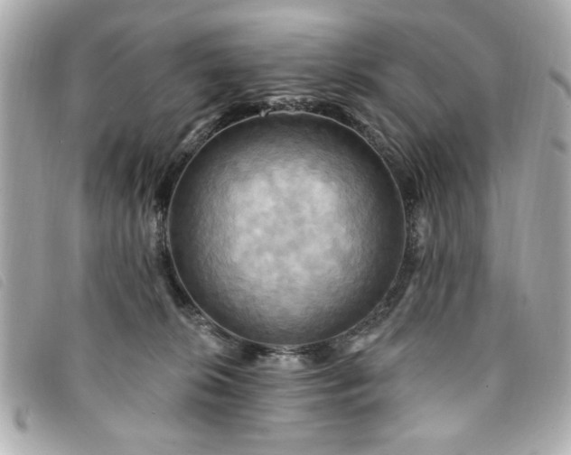 X0000094210276200710261216