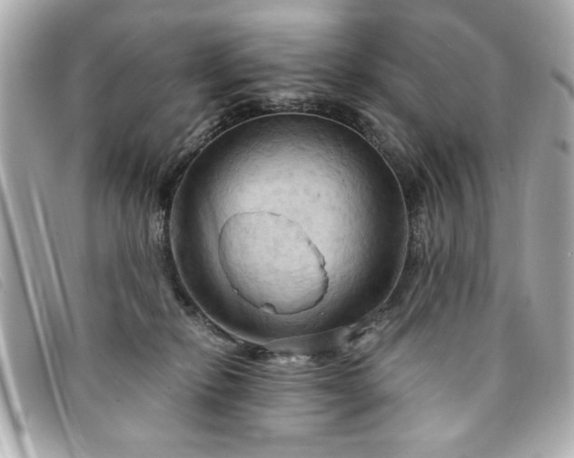 X0000094210278200710261216