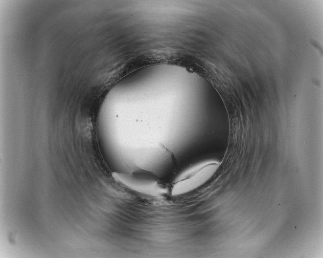X0000094210279200710261217