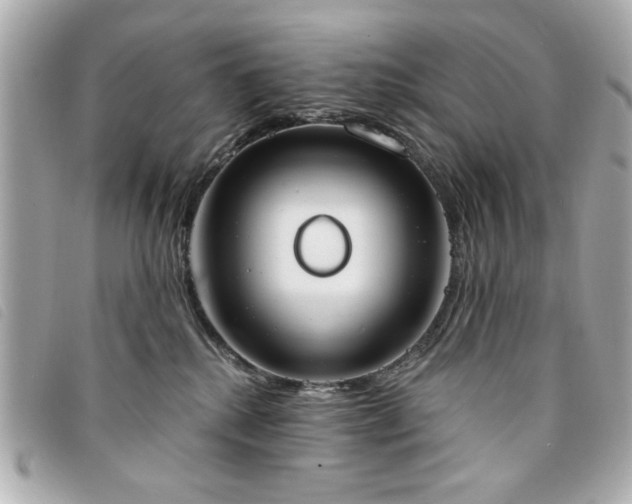 X0000094210280200710261217