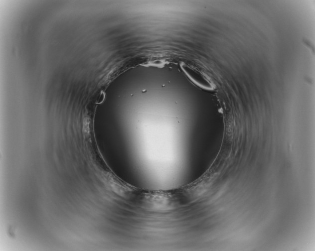 X0000094210282200710261217