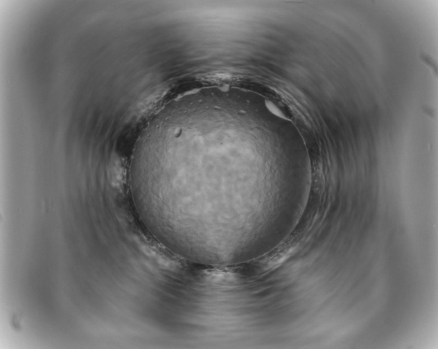 X0000094210284200710261217