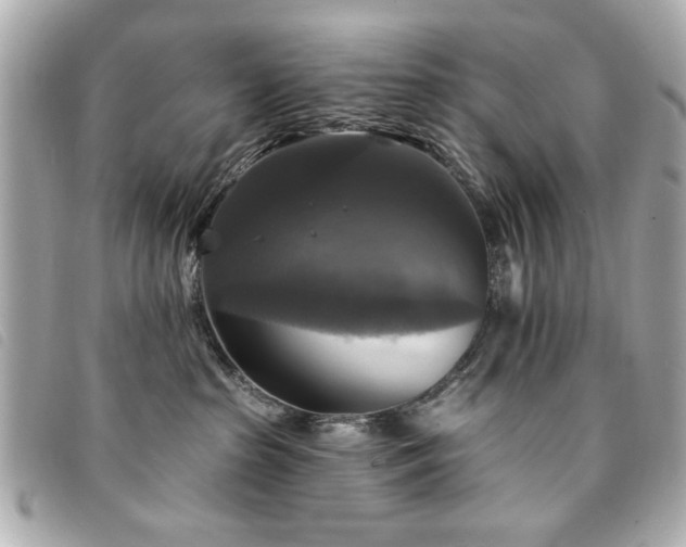 X0000094210285200710261217