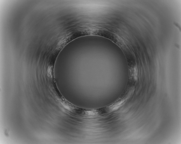 X0000094210286200710261217