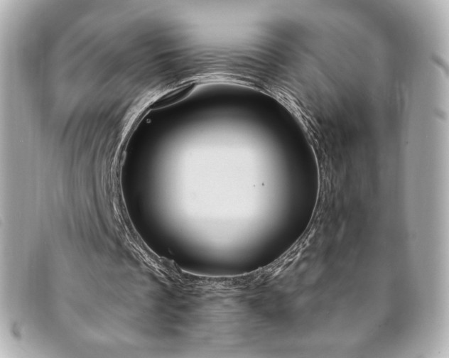 X0000094210289200710261216