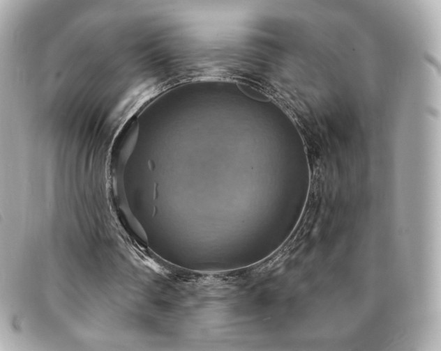 X0000094210290200710261216