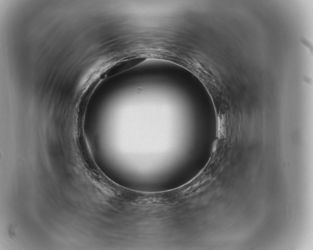 X0000094210291200710261216