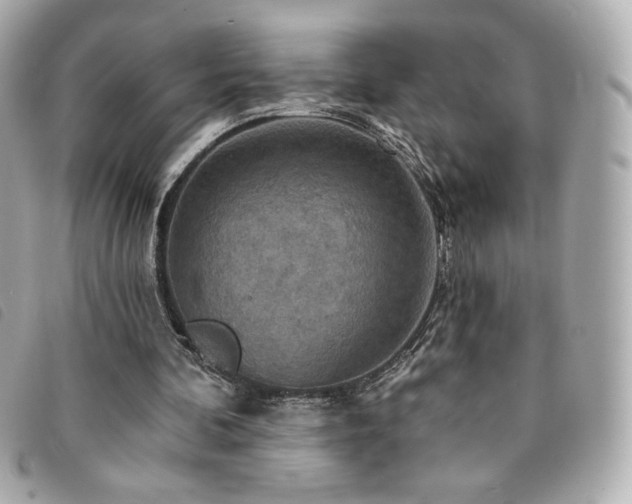 X0000094210292200710261216
