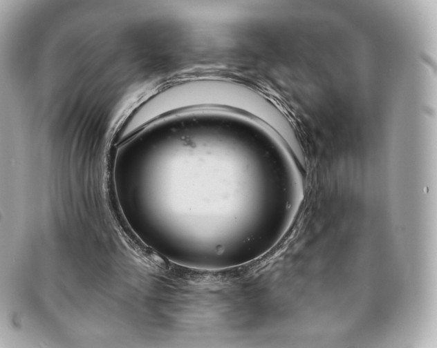 X0000094210293200710261216