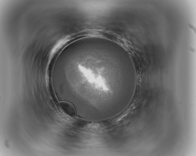 X0000094210294200710261216