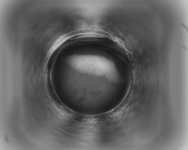 X0000094210295200710261216