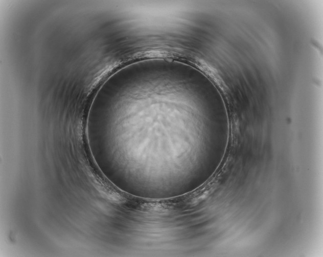 X0000094210297200710261216