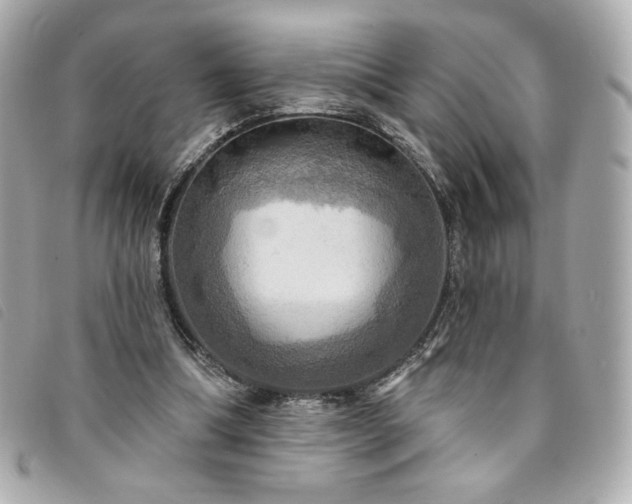 X0000094210298200710261216