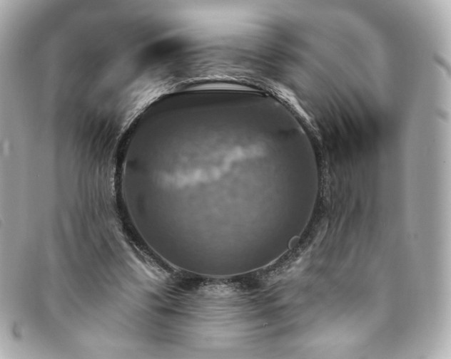 X0000094210299200710261216