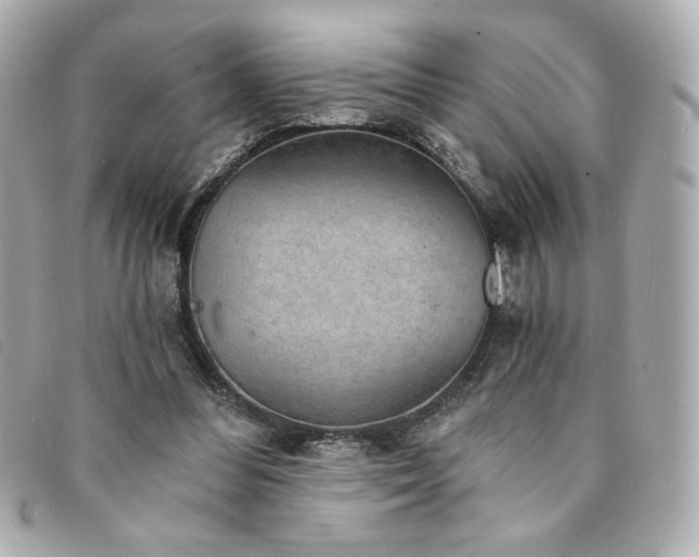 X0000094210300200710261216