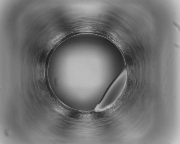 X0000094210301200710261216