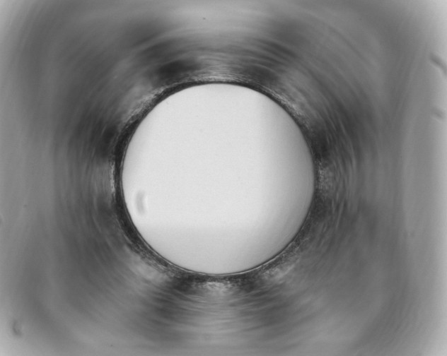 X0000094210302200710261216