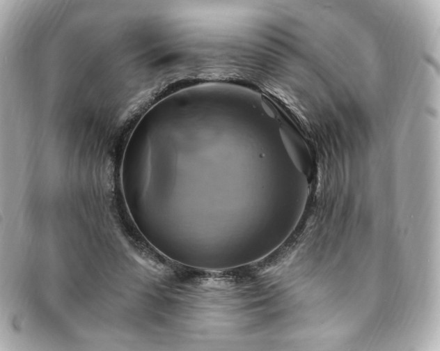 X0000094210303200710261216