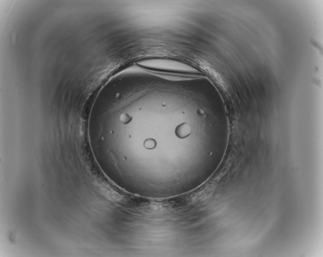 X0000094210305200710261216