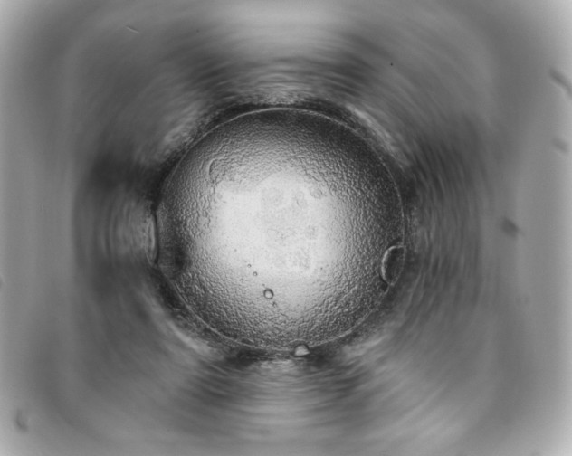X0000094210307200710261216