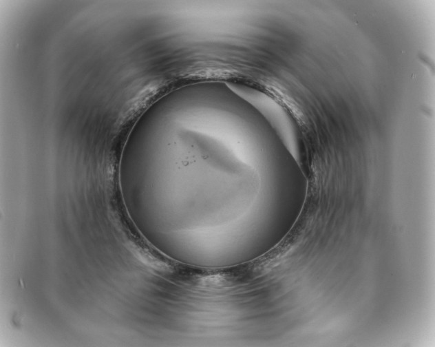 X0000094210309200710261216