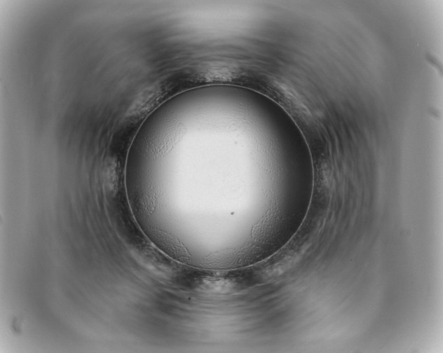 X0000094210311200710261216