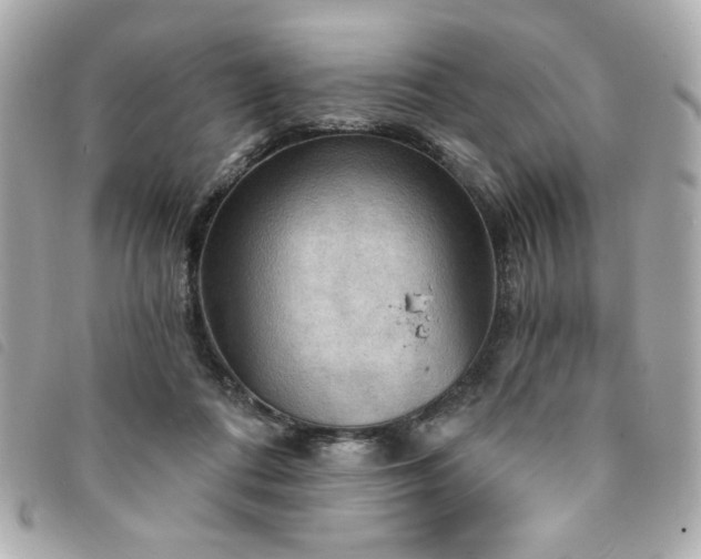 X0000094210312200710261216
