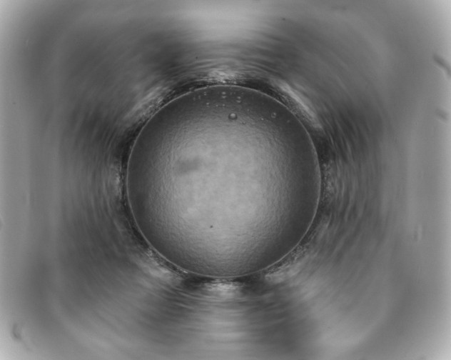 X0000094210313200710261216