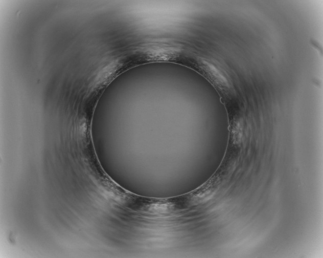 X0000094210314200710261216