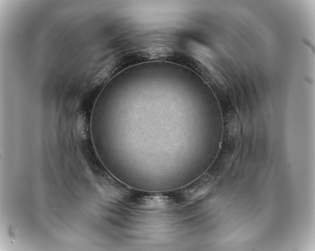 X0000094210316200710261216