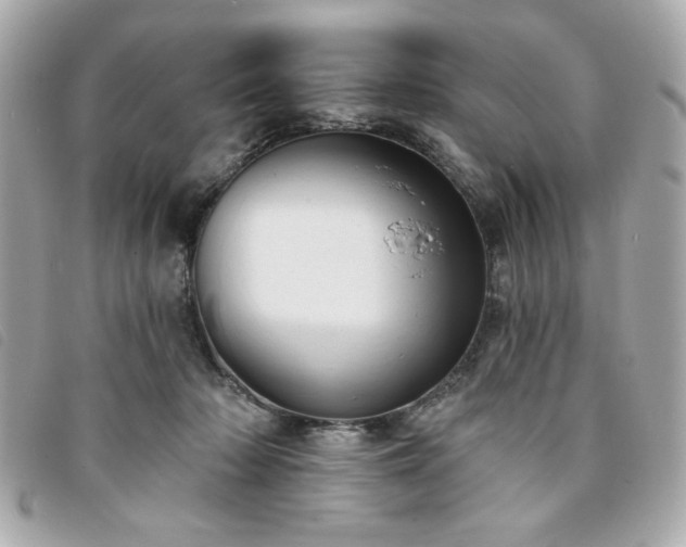 X0000094210318200710261216