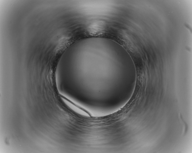 X0000094210319200710261216