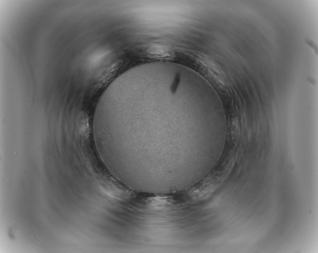 X0000094210320200710261216