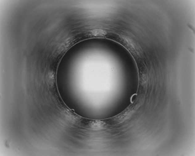 X0000094210321200710261216