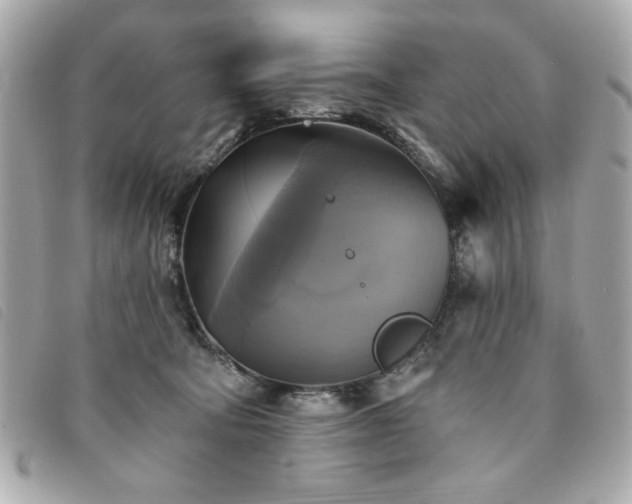 X0000094210322200710261216