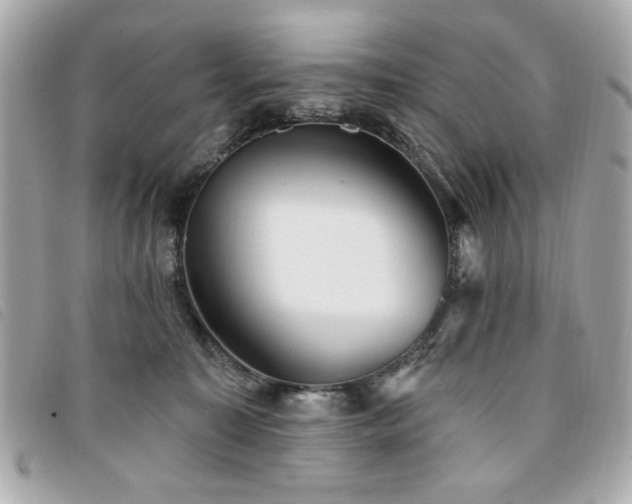 X0000094210323200710261216