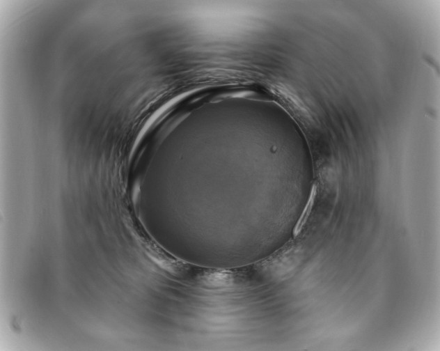 X0000094210325200710261216