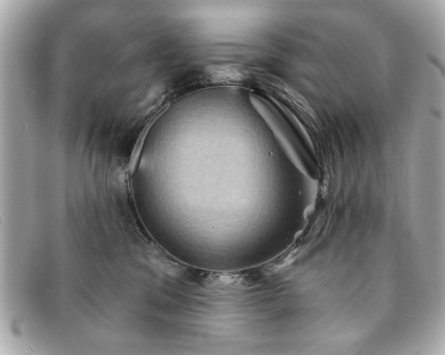 X0000094210329200710261216