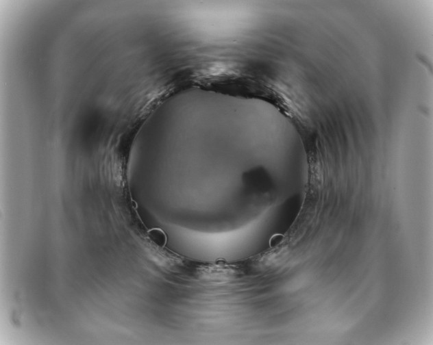 X0000094210331200710261216